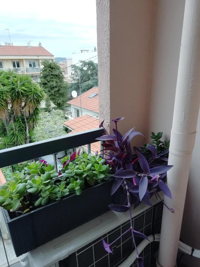 Apartamento " Sete A Vous" Exterior foto